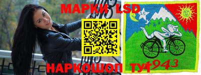 МДПВ Камышлов
