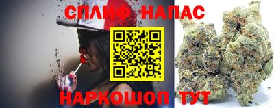 МДПВ Камышлов