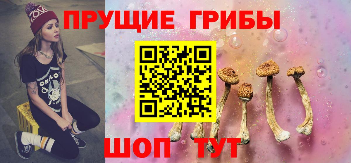 Лянтор  Псилоцибиновые грибы прущие грибы  Вход с VPN  Галлюциногенные грибы мухоморы 